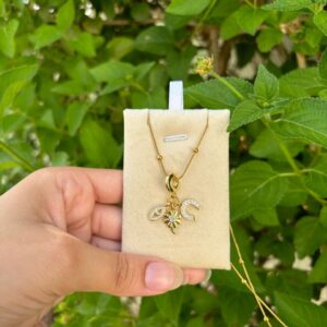 Stainless steel lucky charms necklace