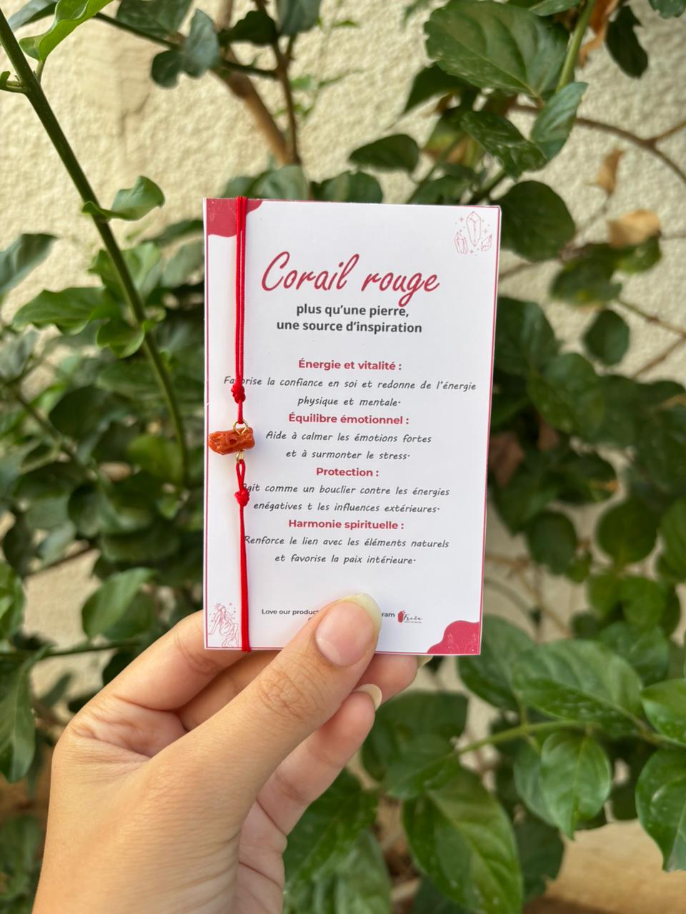 Mini Version of rough coral