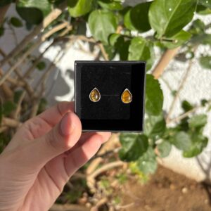Tiger eye Stud earrings